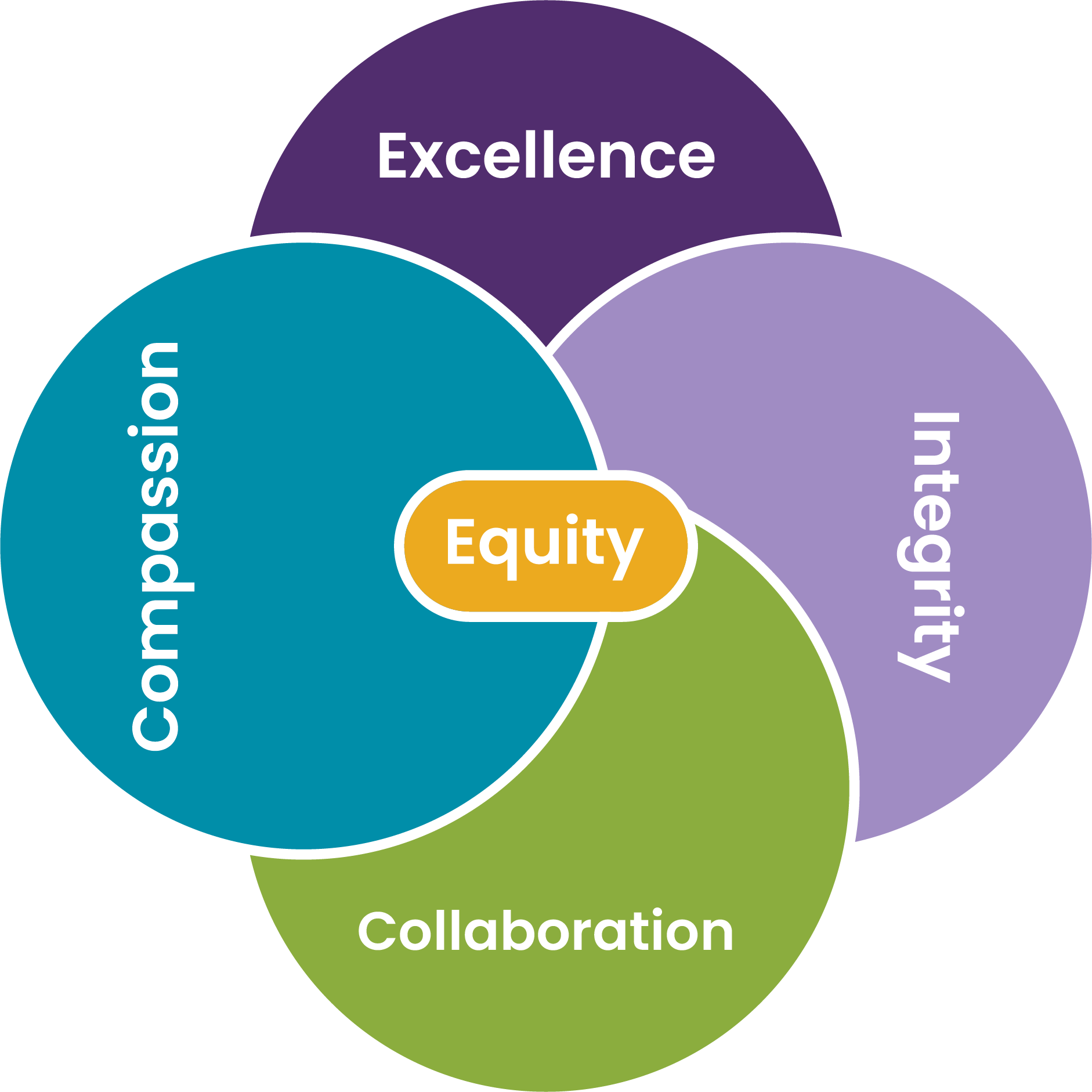 Core Values Graph including Excellence, Compassion, Collaboration, Integrity, and Equity.